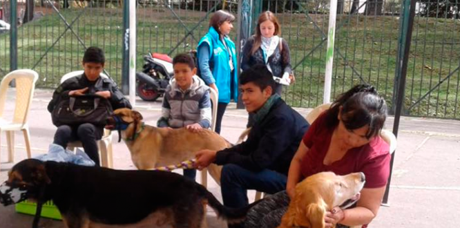 Jornada de protección y bienestar animal en el barrio Rionegro