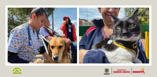 Barrios Unidos continúa trabajando incansablemente por el bienestar de los animales de compañía