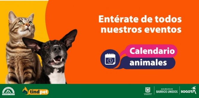 Calendario de Animales