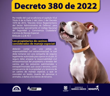 Decreto 380 de 2022