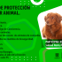 Jornada de Protección y Bienestar Animal en Barrios Unidos